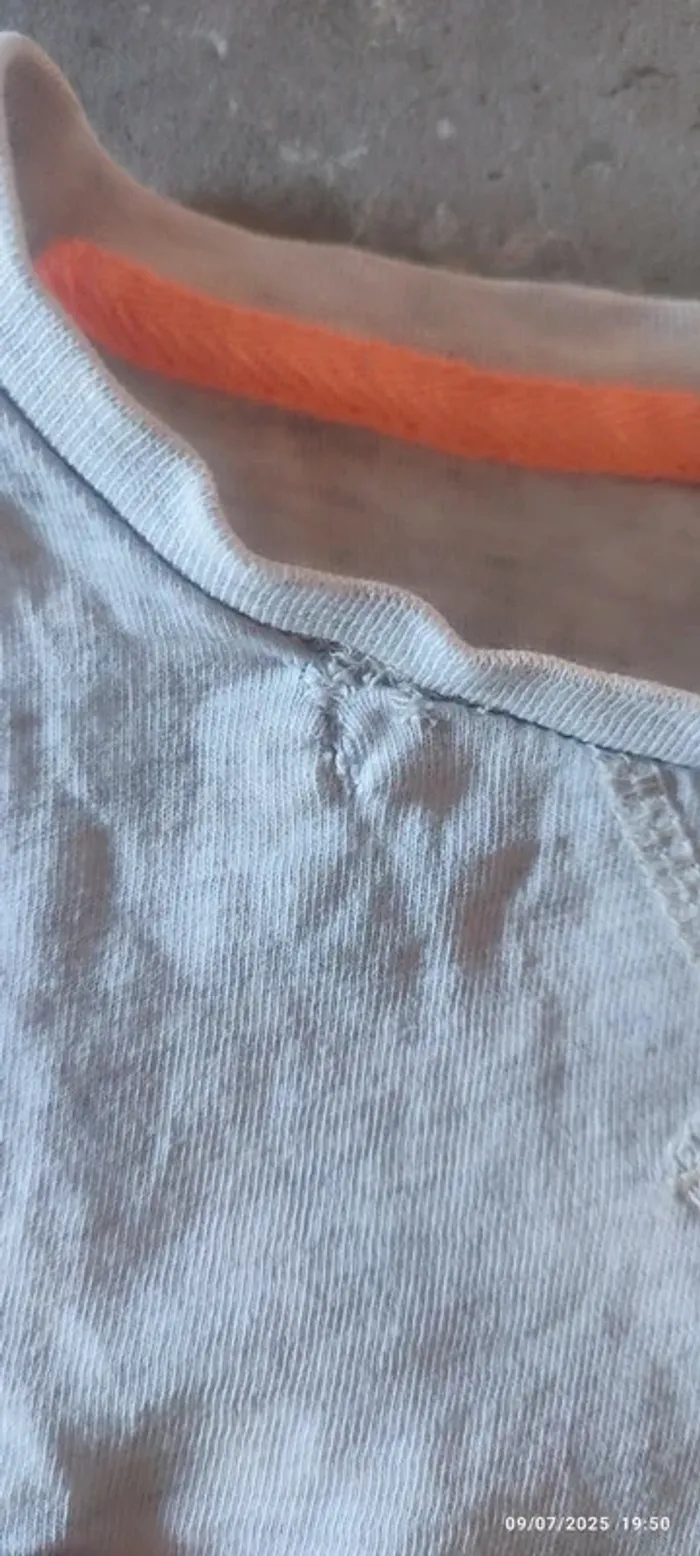 🦎 T-shirt lézard – Garçon 12 ans - photo numéro 4