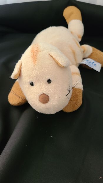 Chat JANTA  doudou beige tigre