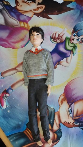 Harry Potter Figurine Sorciers World Poupée Figure Doll Mattel