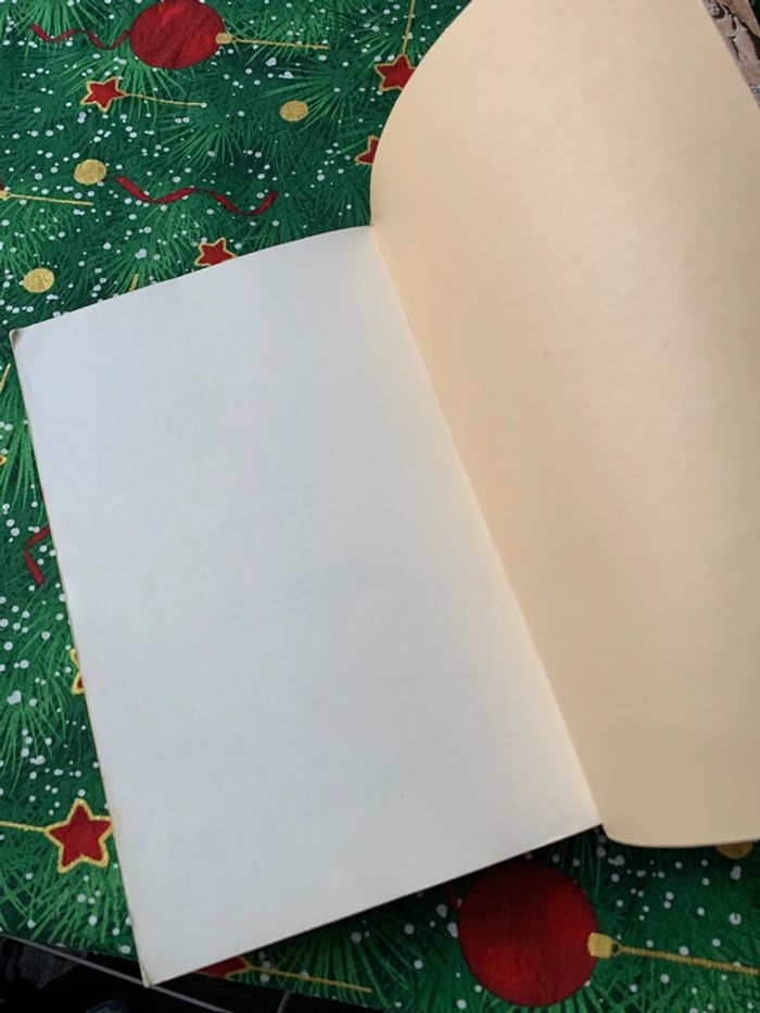 Rani roman - photo numéro 9