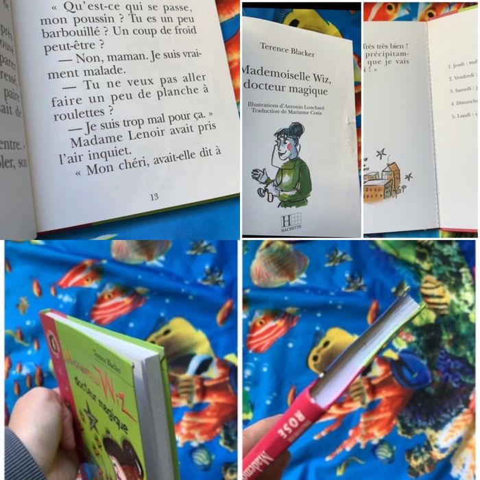 Lots livre bibliothèque rose - photo numéro 4