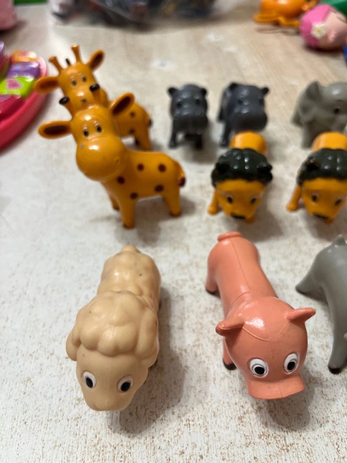 Animaux divers - photo numéro 4