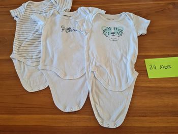 Lot 3 bodys manches courtes gemo 24 mois