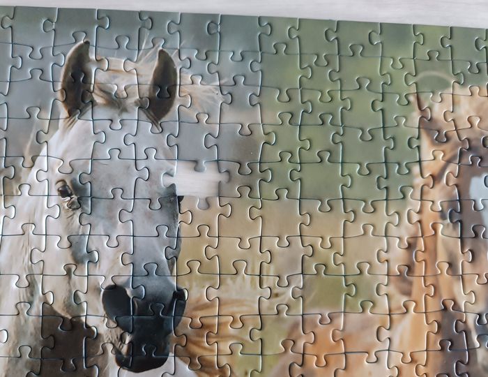 Puzzle chevaux 1000 pièces - photo numéro 3