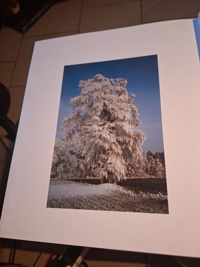 Rencontres dans les Ardennes luxembourgeoises - photo numéro 13