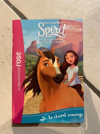 « Spirit - Le Cheval Sauvage »