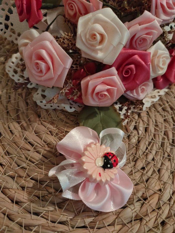 🐞Pince crocodile Motif coccinelle🐞