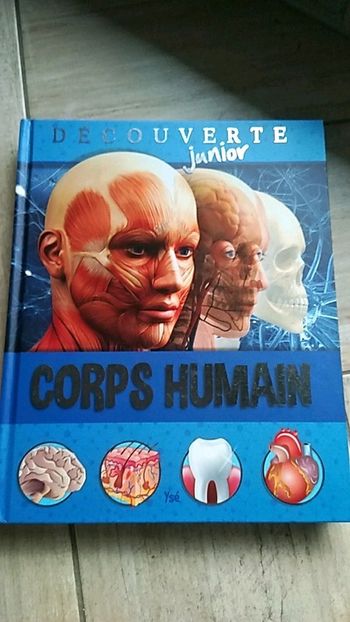 Corps humain