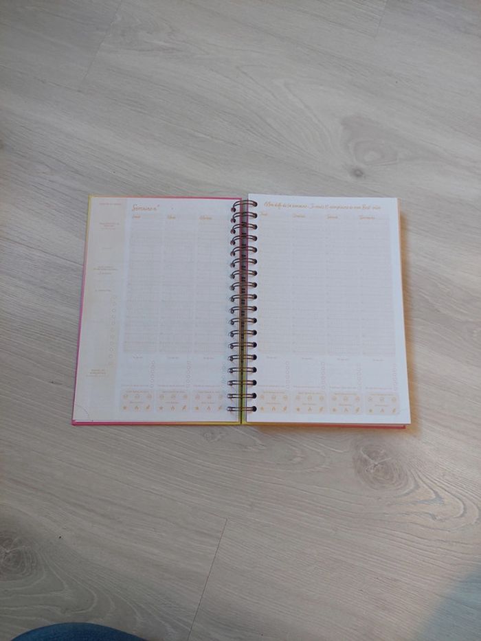 Agenda Business Coach – Girlboss 🌟 - photo numéro 8