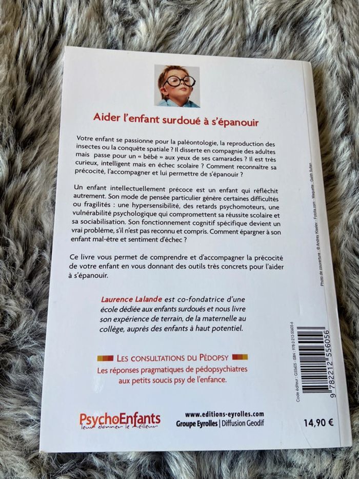 Au secours, mon enfant est précoce ! - photo numéro 2