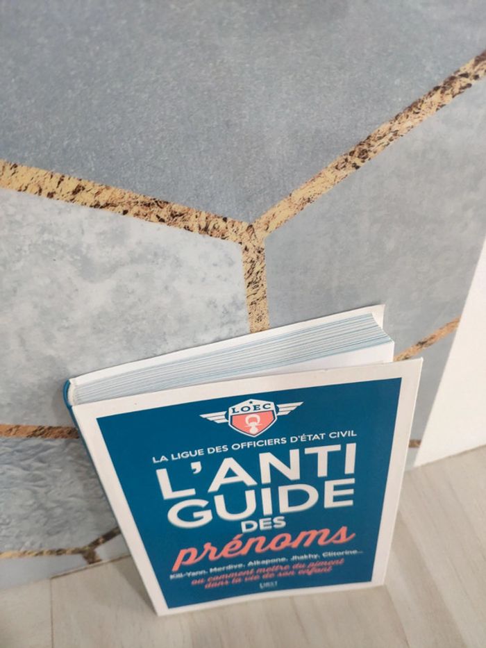 Livre Anti guide des prénoms ou comment mettre du piment dans la vie de son enfant - photo numéro 2