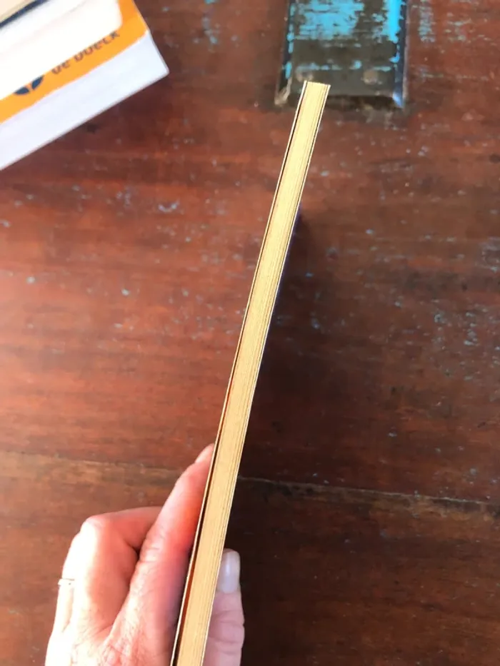 Livre poche "La perfection du yoga" de 1995 - photo numéro 3