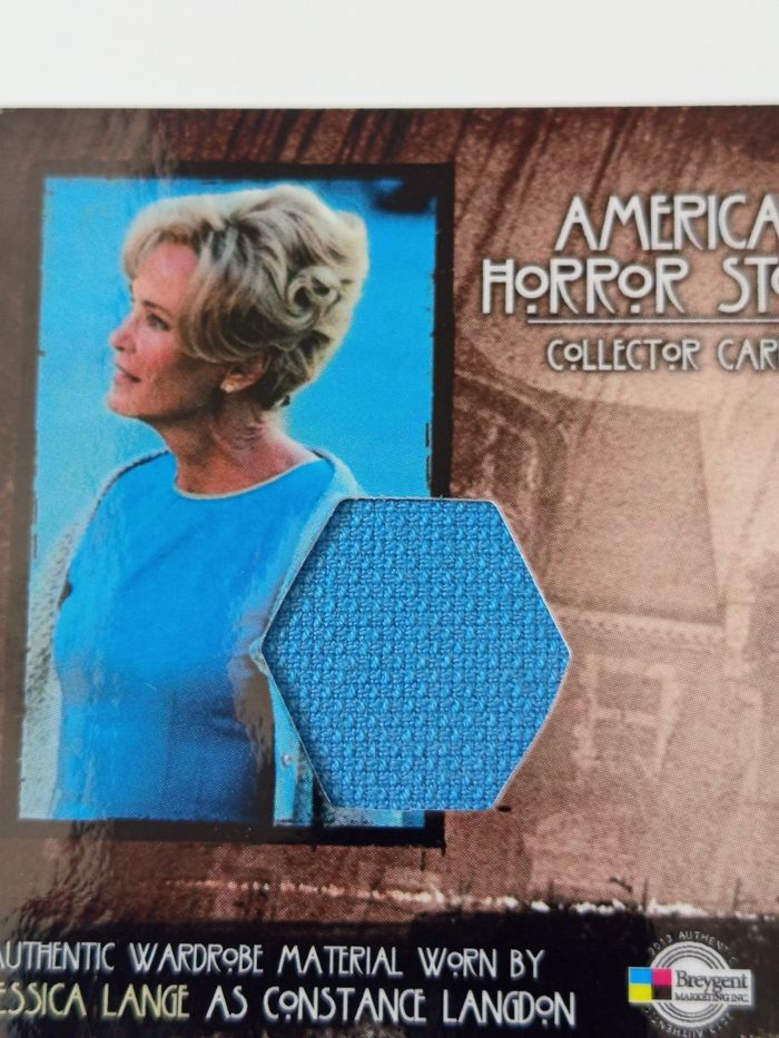 Morceau de tissu american horror story - photo numéro 3
