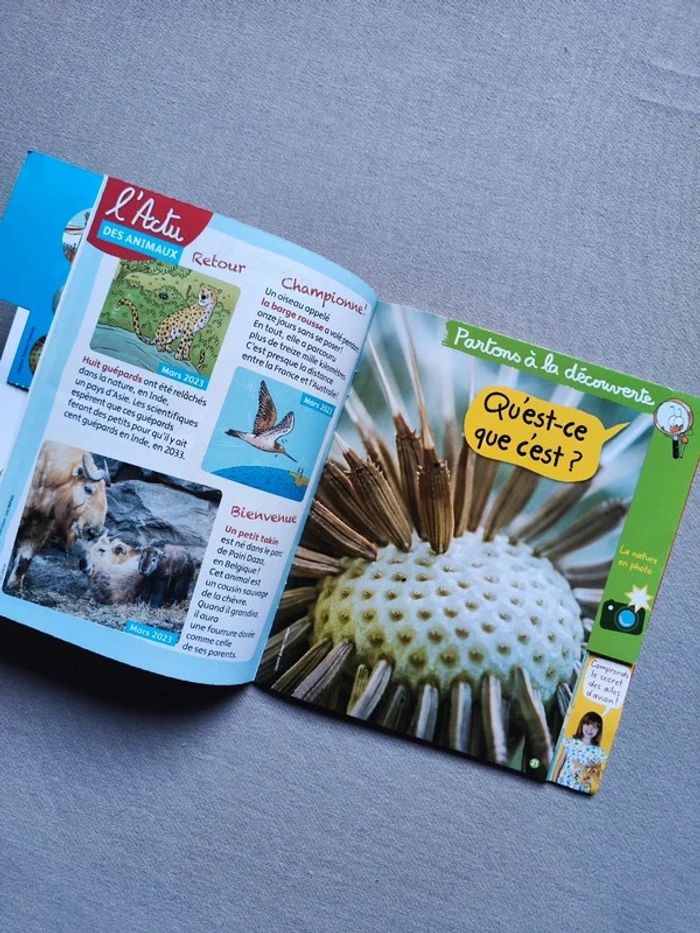 Livre Youpi Doc - photo numéro 5