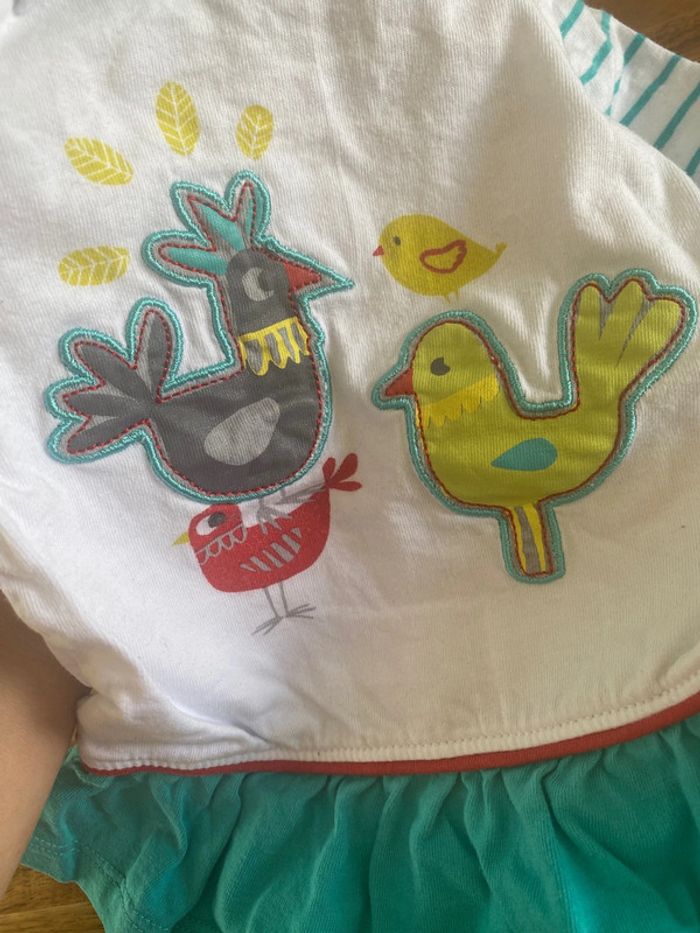 Ensemble poussins 🐥 - photo numéro 4
