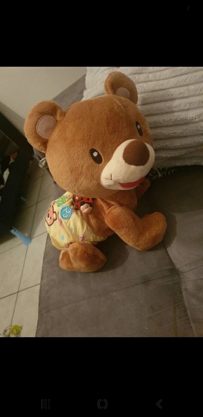 ourson marche a 4 pattes