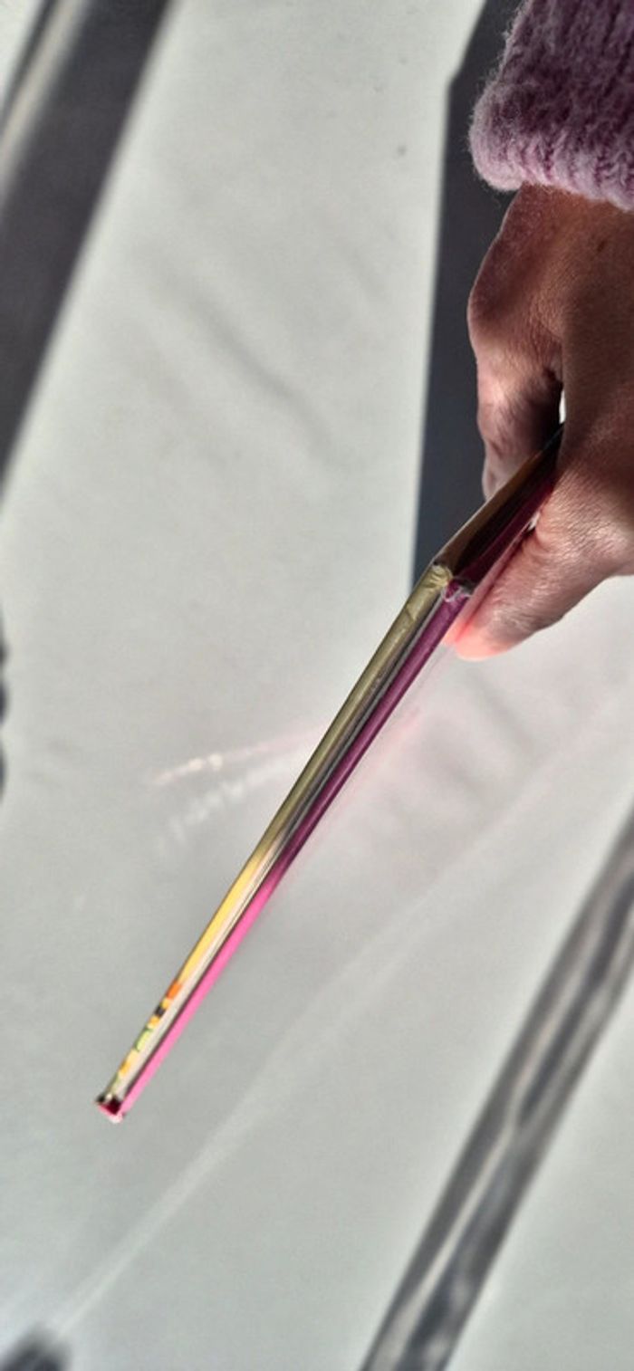 Livre capucine au poney club - photo numéro 7