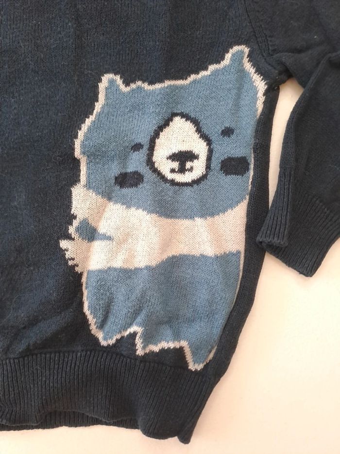 Pull ours - photo numéro 2