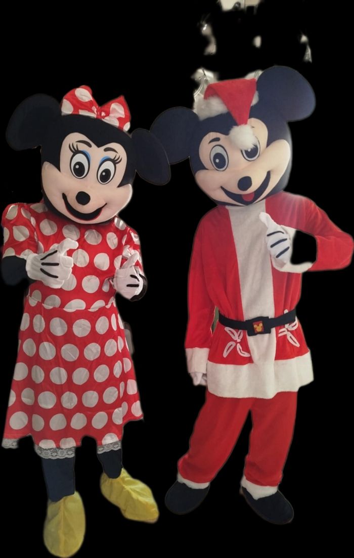 Mascotte Mickey et Minnie