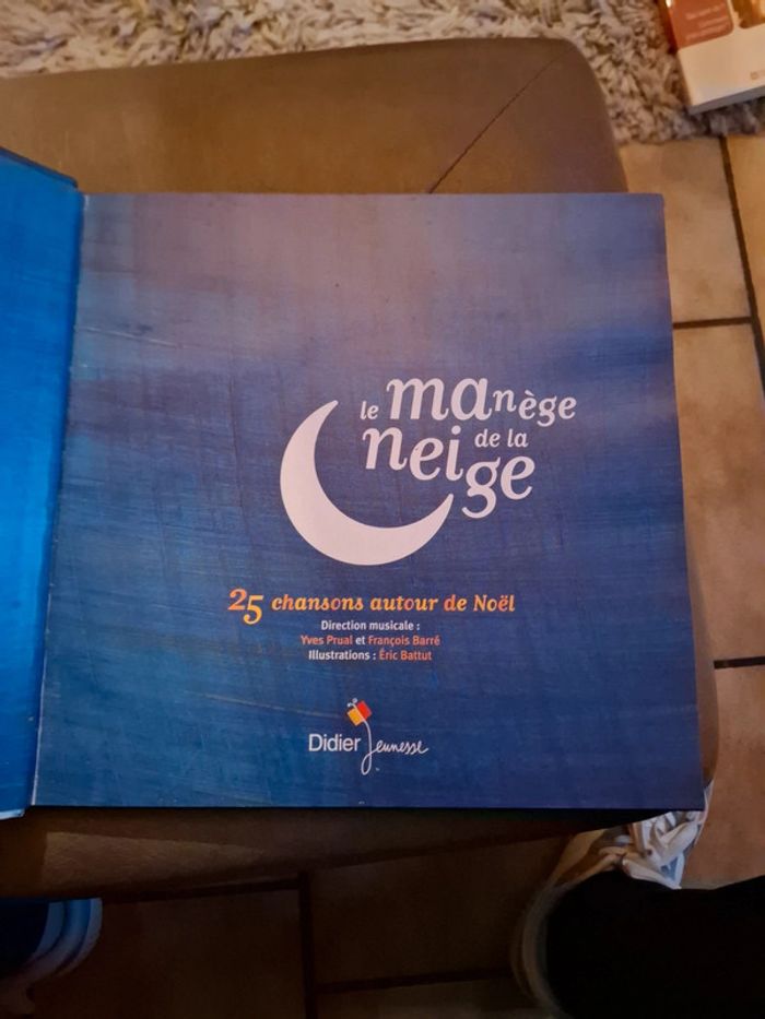 Le manège de la neige - photo numéro 7