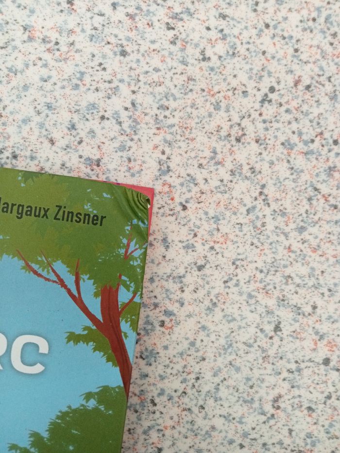 Livre tir a l'arc - photo numéro 2