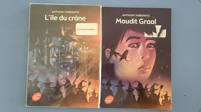 T1&2 David, L'île du crâne & Maudit Graal de Anthony Horowitz - photo numéro 2