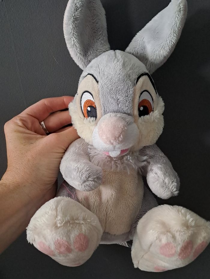 Pampam lapin disney - photo numéro 4