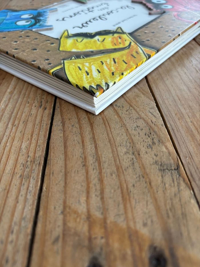Livre la couleur des émotions - photo numéro 3
