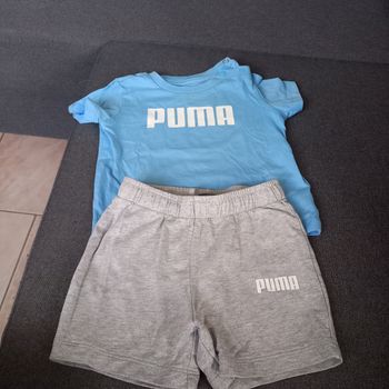 Ensemble puma