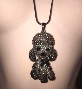Collier chien
