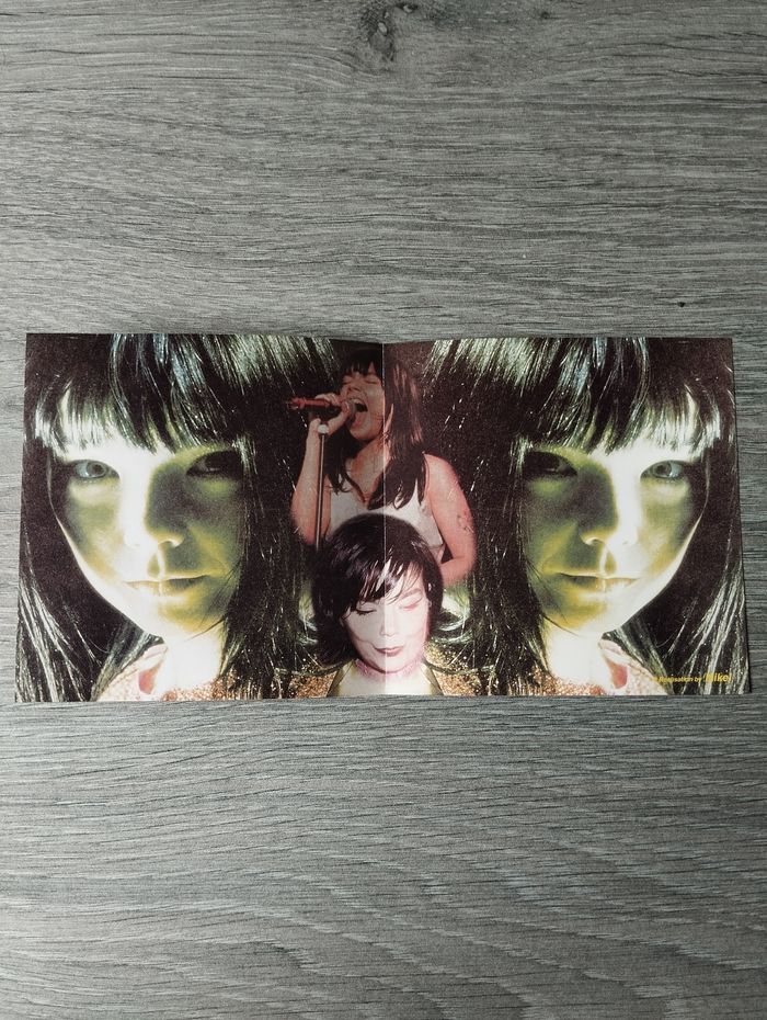 CD Bjork : The Iceland Saga (live Norway 1998) - photo numéro 6
