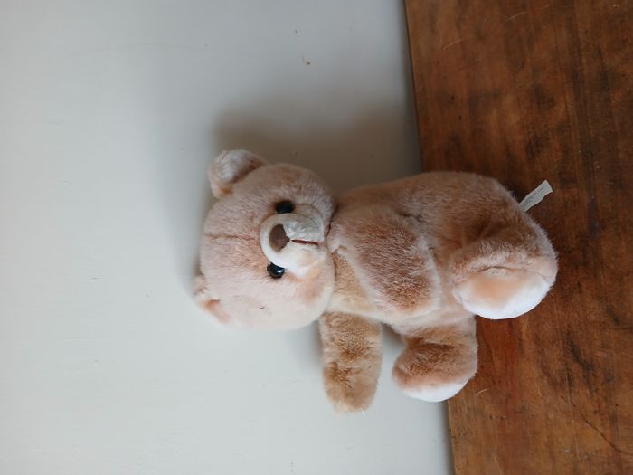 peluche ours - photo numéro 5