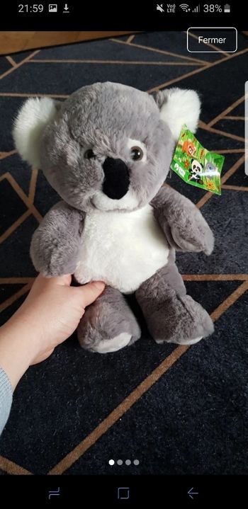 Peluche koala 