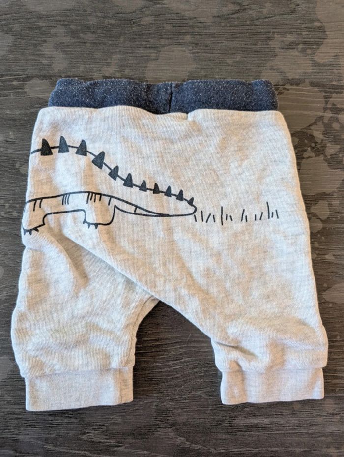 Pantalon crocodile - photo numéro 2