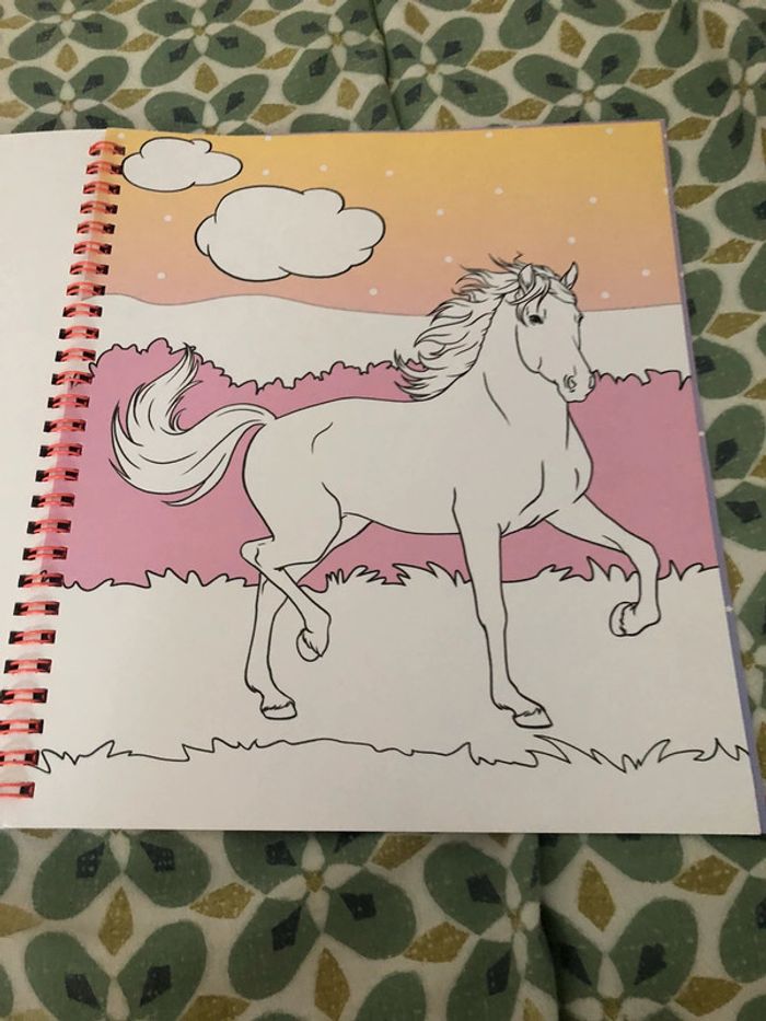 Livre de coloriage miss Mélody - photo numéro 12