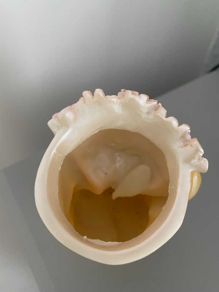 Lot de 3 petits pots plantes maquillage ou stylos - photo numéro 7