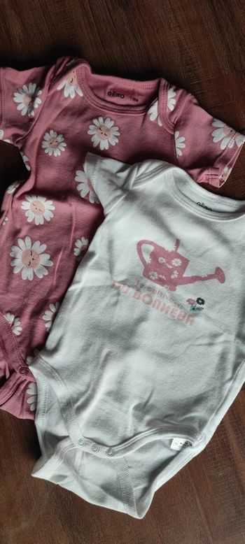 Lot de 2 bodies MC 18mois