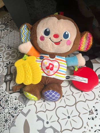 Singe avec Anneau dentition