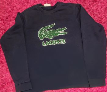 Pull lacoste neuf 