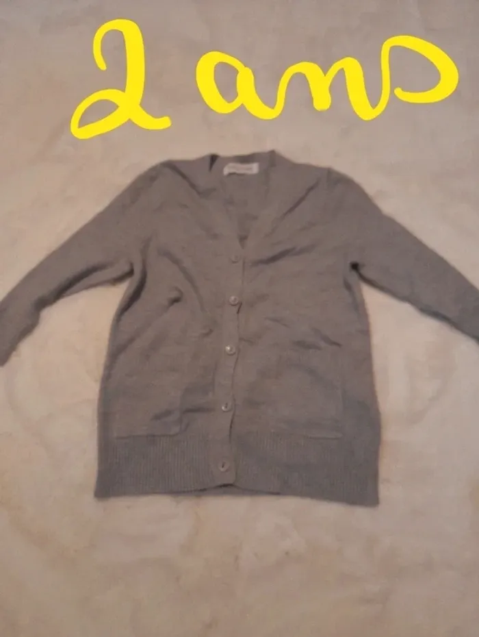Gilet gris