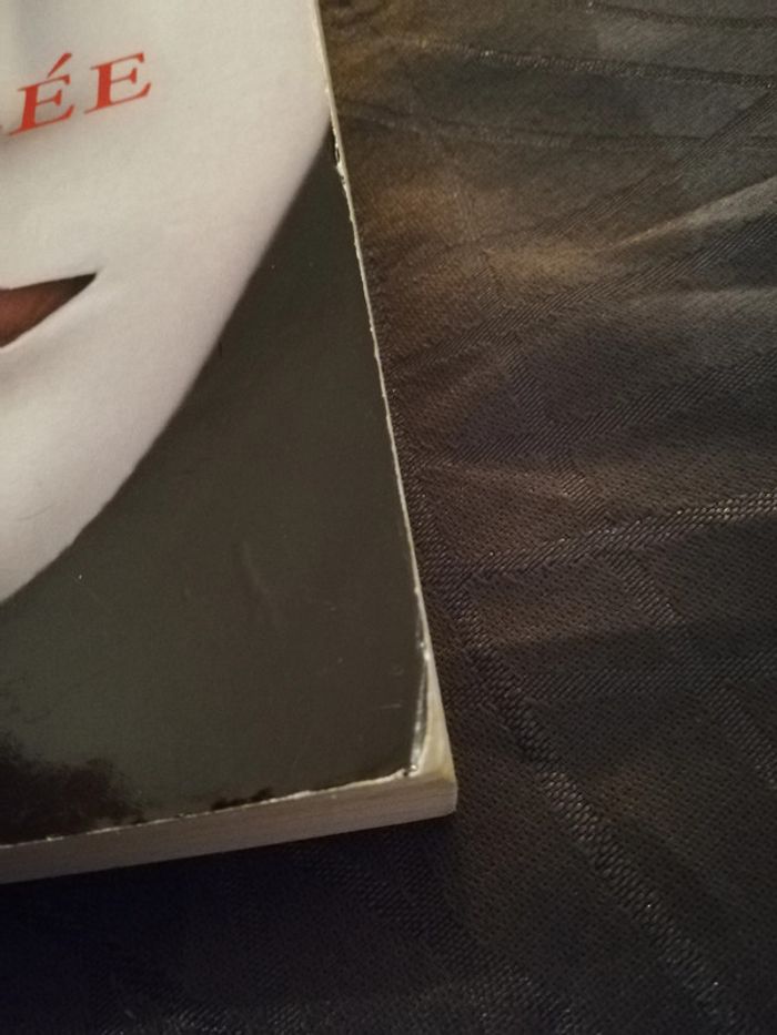 Livre "brûlée vive" - photo numéro 4