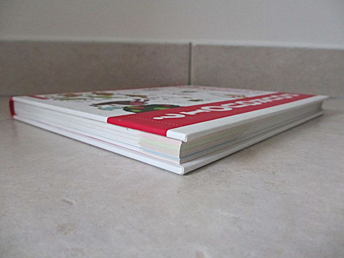 Livre enfant Mon premier Larousse des Pourquoi ? - photo numéro 9