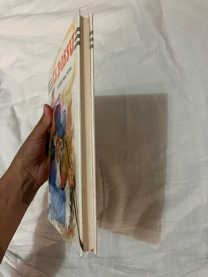 Livre enfant – Le Bossu - photo numéro 4