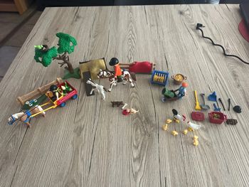 Playmobil 4167