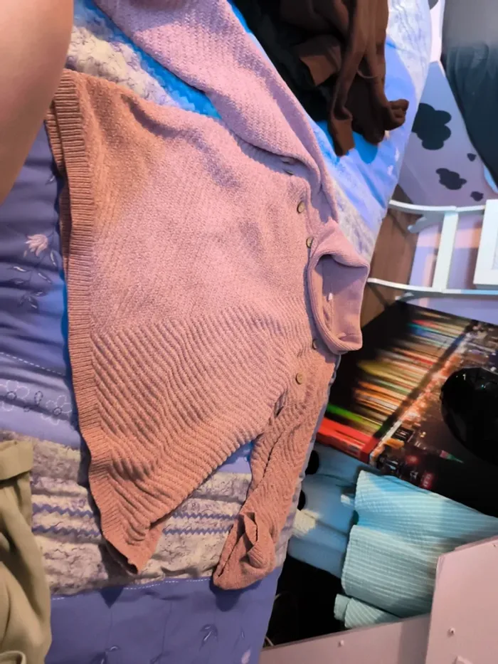 Pull polaire