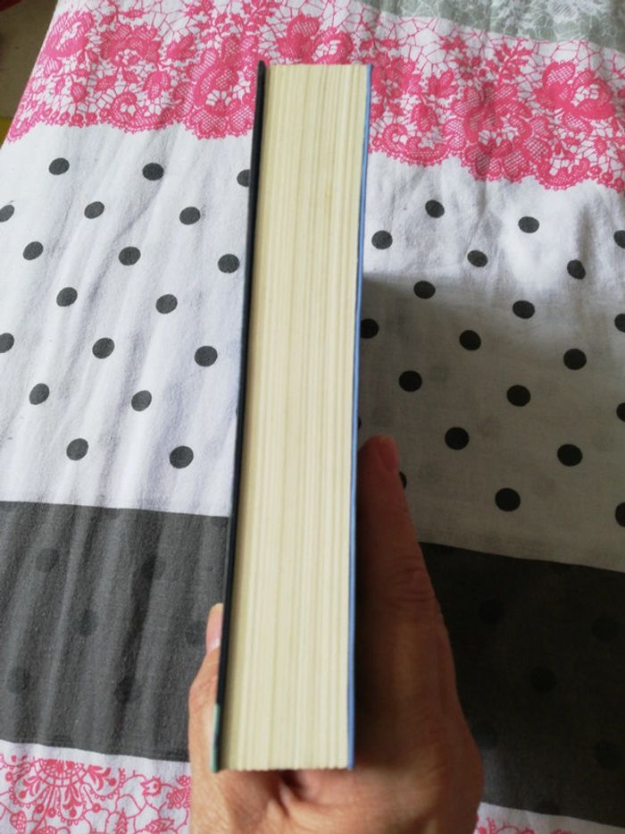 Le sang du renard - photo numéro 4