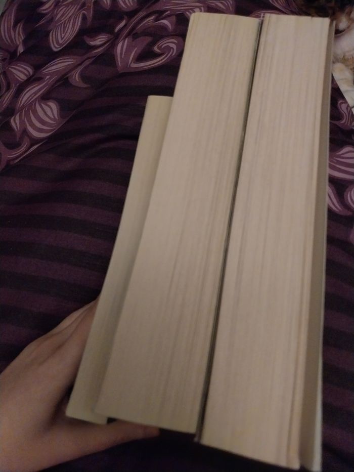 Romans Trilogie complète Angelfall tomes 1 à 3 Susan Ee Pocket Jeunesse - photo numéro 7