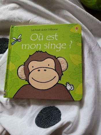 Ou est mon singe ?