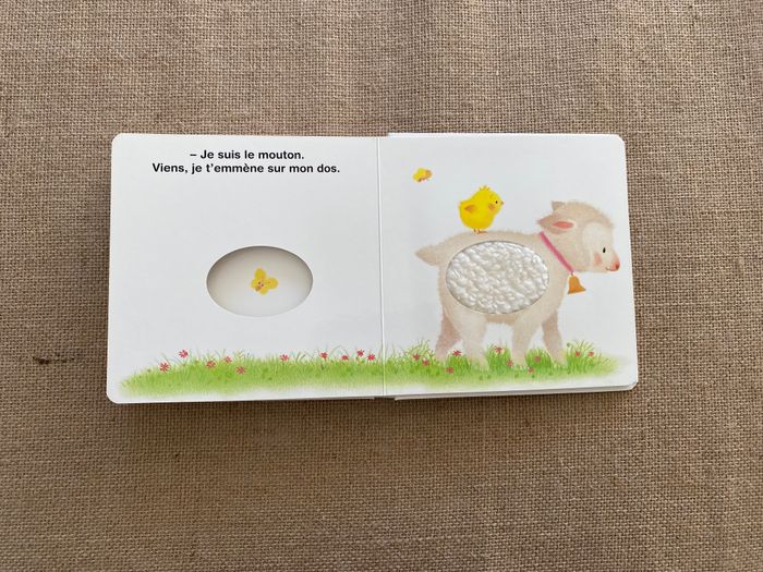 Livre Piou Piou Qui es-tu ? Bayard Jeunesse - photo numéro 8