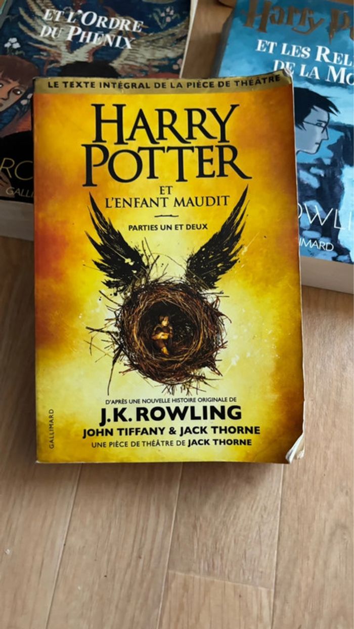 Livre Harry Potter - photo numéro 2